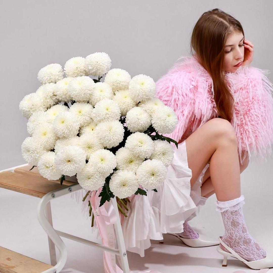 Хризантема одноголовая сортовая