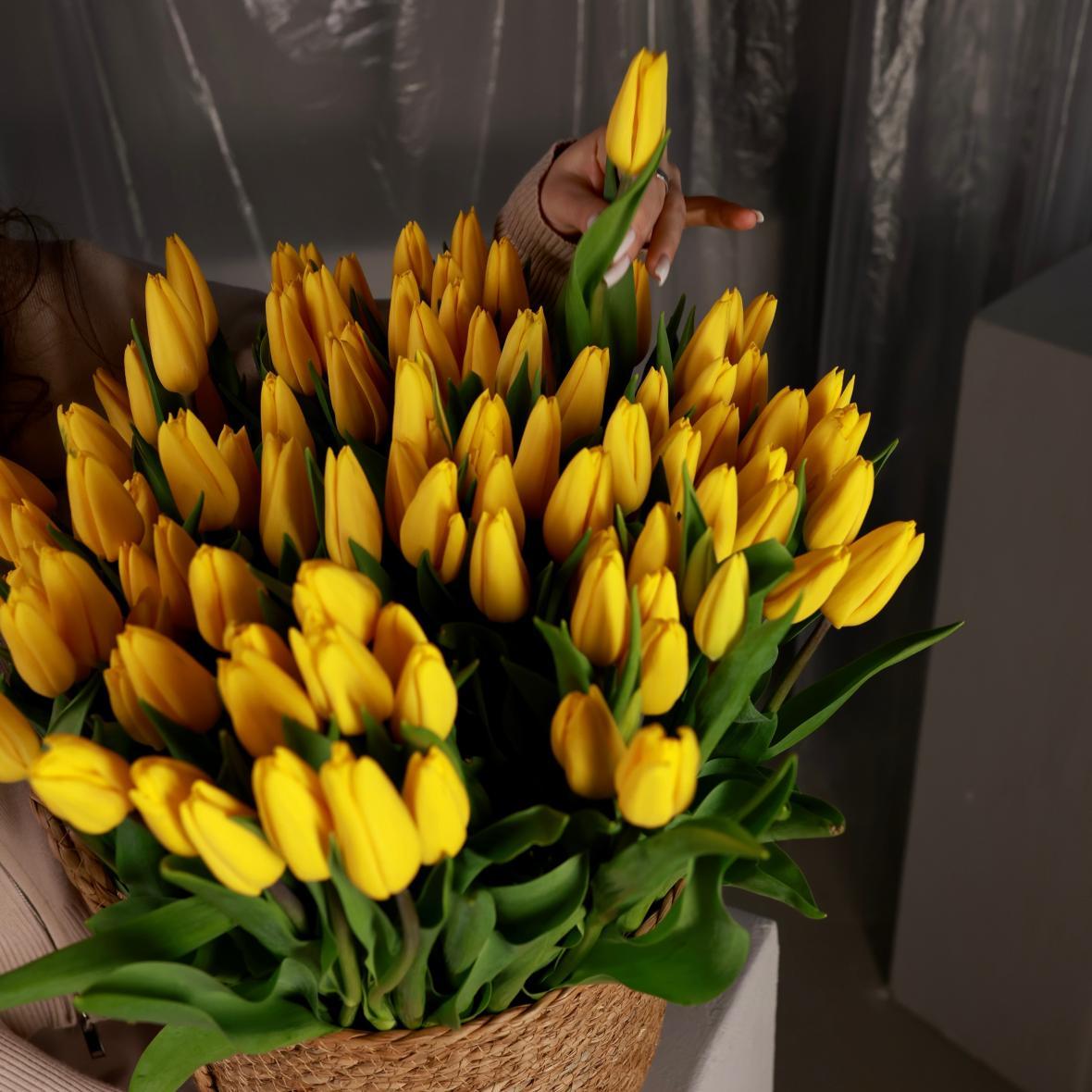 Тюльпан Россия желтый