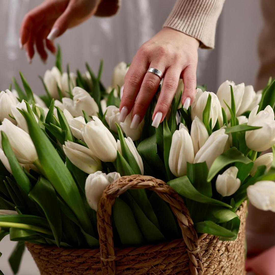 ТЮЛЬПАН РОССИЯ БЕЛЫЙ