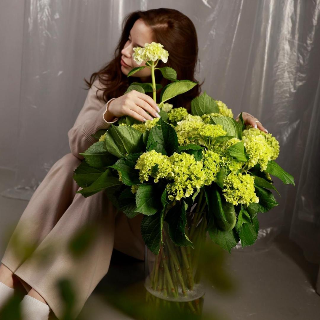 Гортензия мини