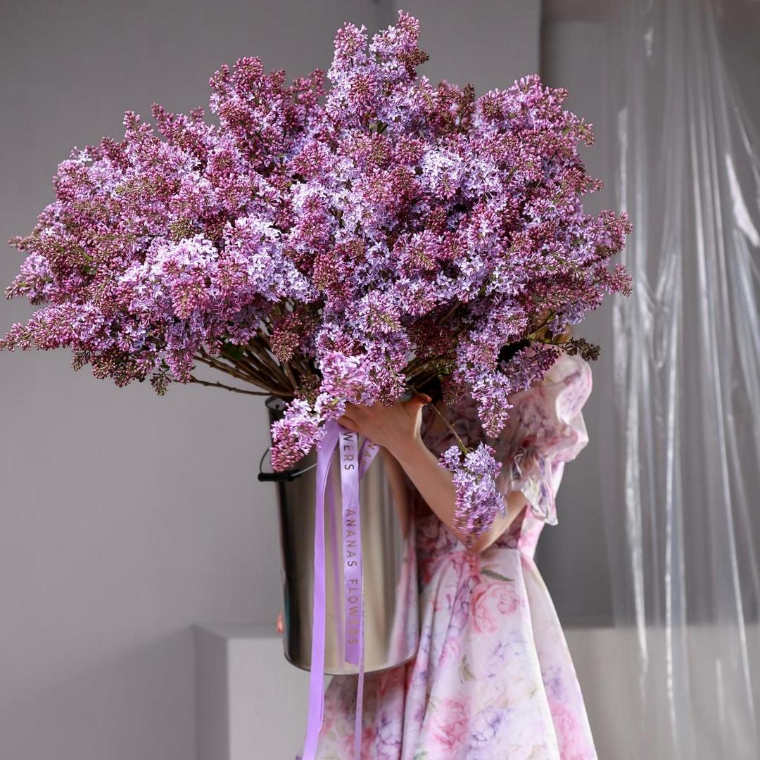 Сирень (цена за 1 шт)