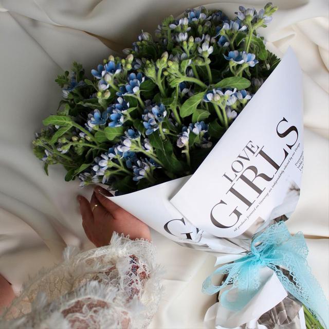 Оксипеталум