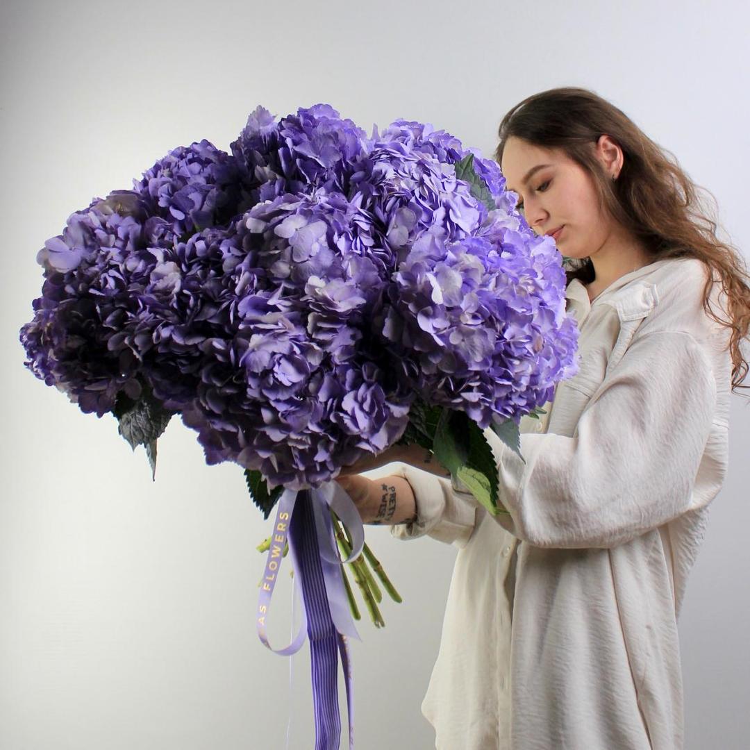 Гортензия Milk