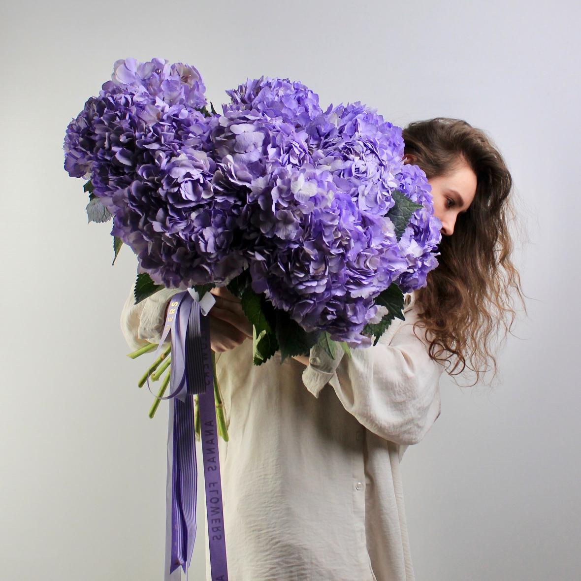 Гортензия Milk