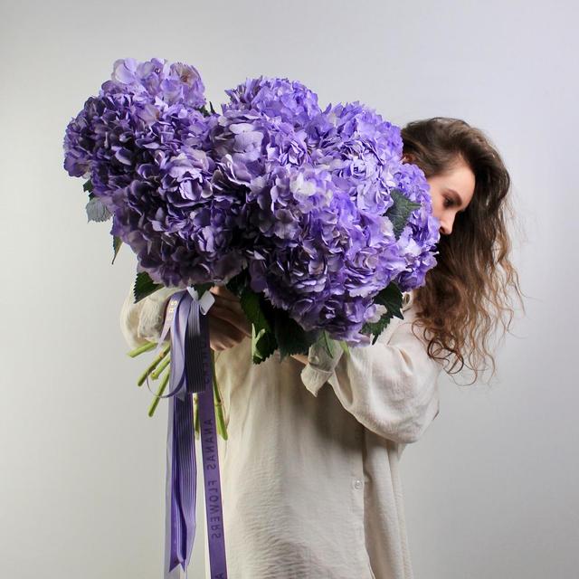 Гортензия Milka