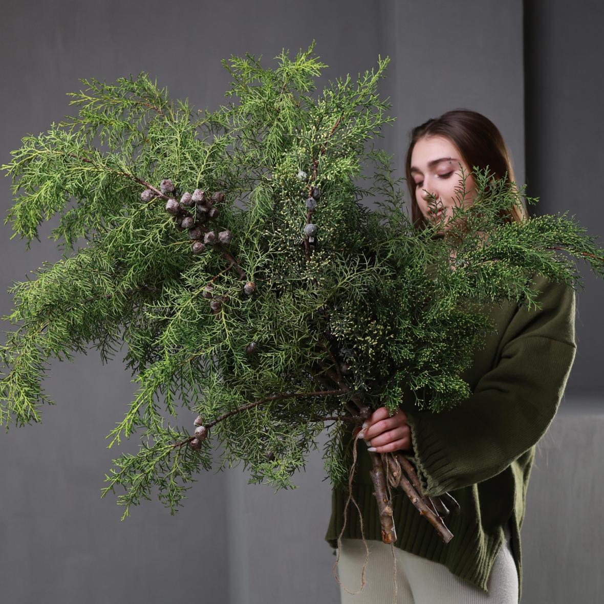 Кипарис (стоимость указана за банч)