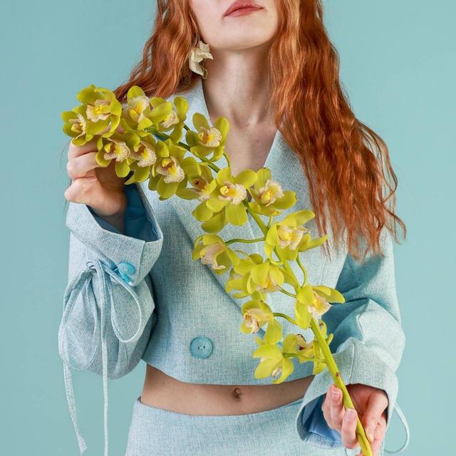 Орхидея Цимбидиум ветка