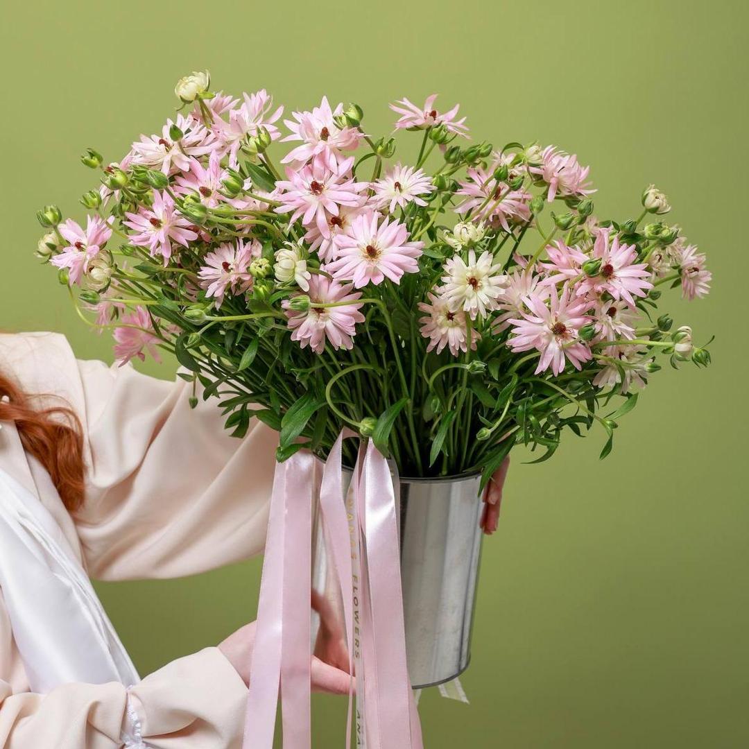 Ранункулюс сортовой