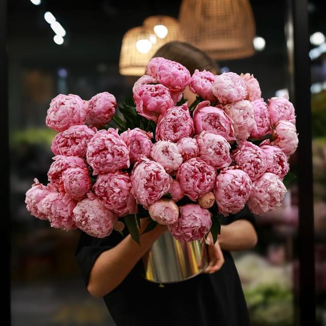 Пион розовый (цена за 1 шт)