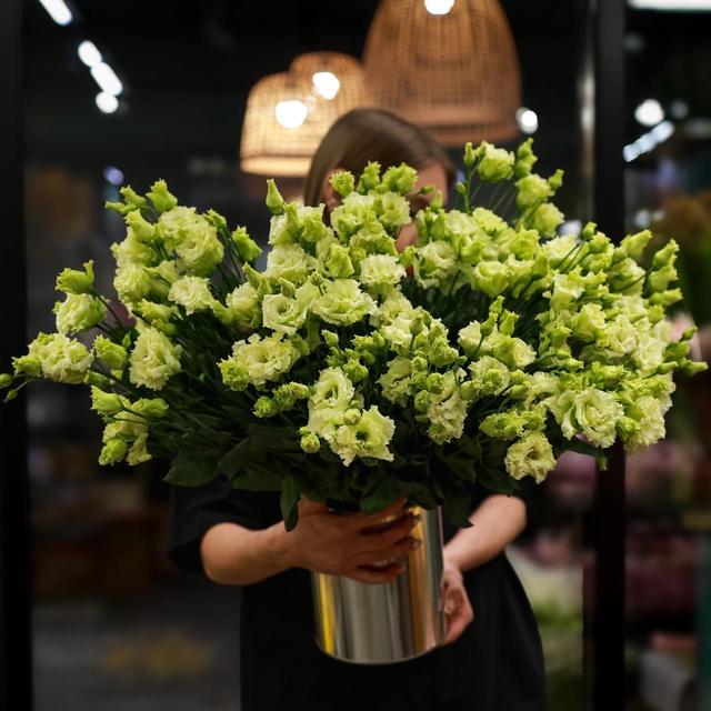 Эустома зеленая