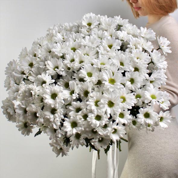 Хризантема кустовая (белая)