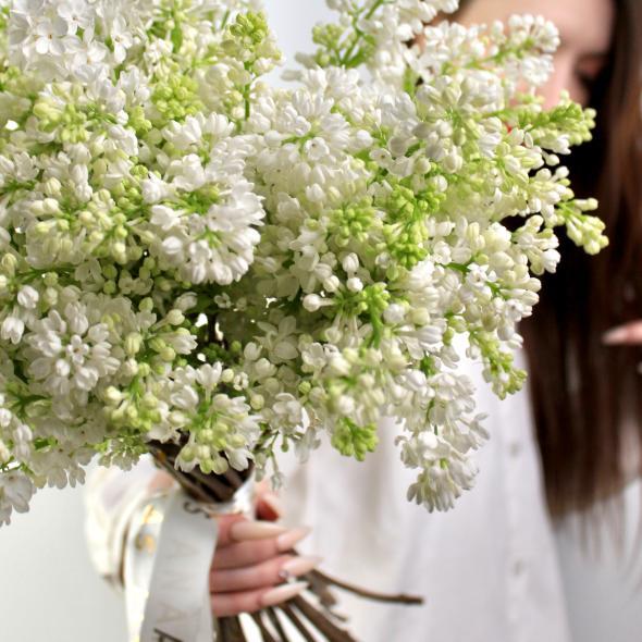 Сирень (цена за 1 шт)