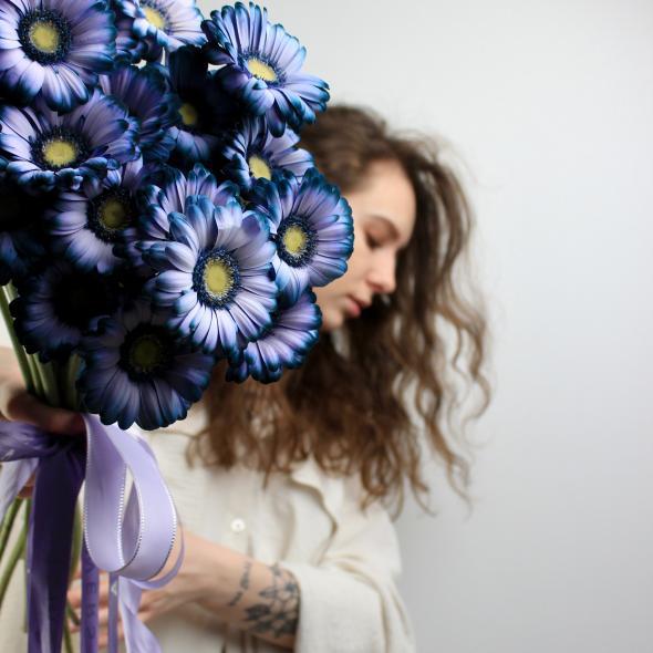 Гербера мини (крашеная)