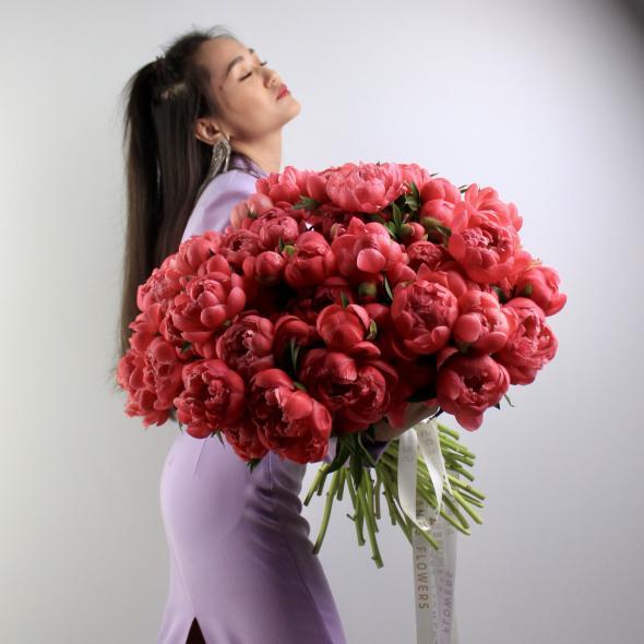 Пион Coral Сharm (цена за 1 шт)