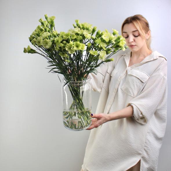 Кустовая гвоздика green