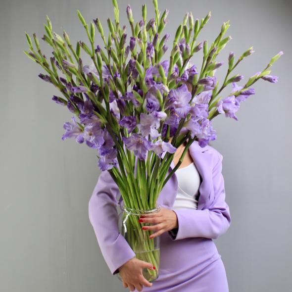 Гладиолус Milka