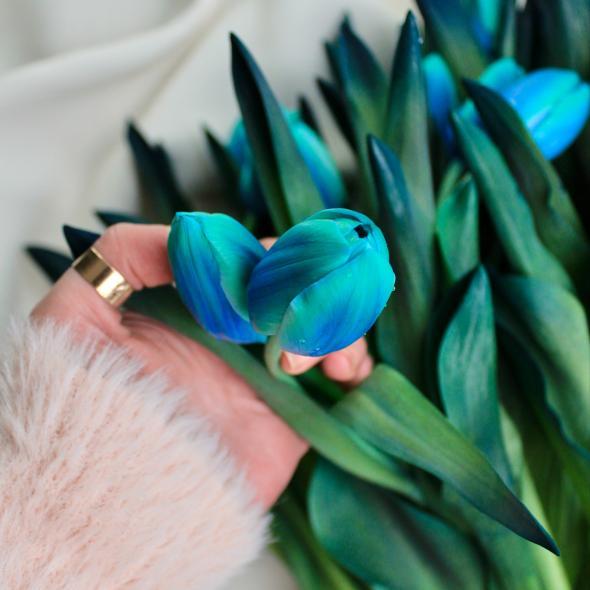 Тюльпан крашеный