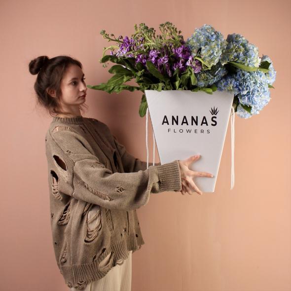 Транспортировочная коробка переноска