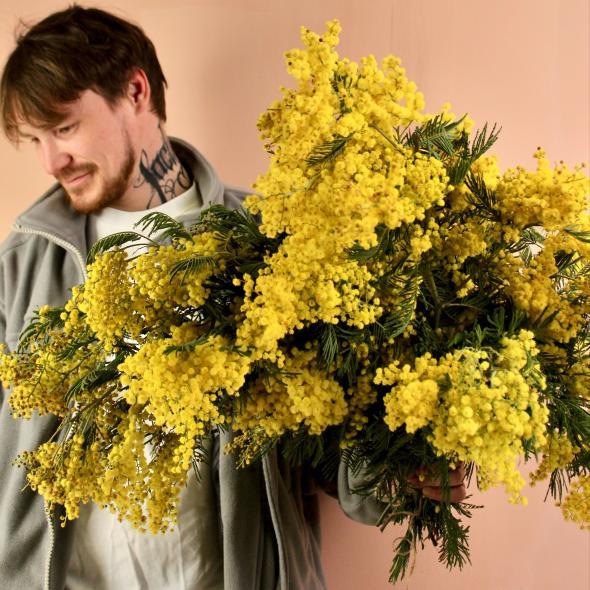 Мимоза (цена за 1 банч, на фото примерно 5 банчей)