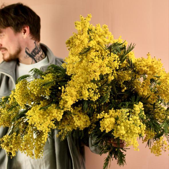 Мимоза (цена за 1 банч, на фото примерно 5 банчей)