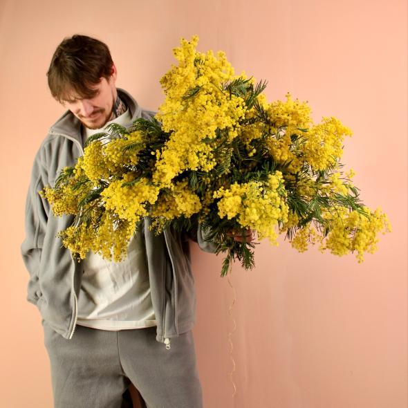 Мимоза (цена за 1 банч, на фото примерно 5 банчей)