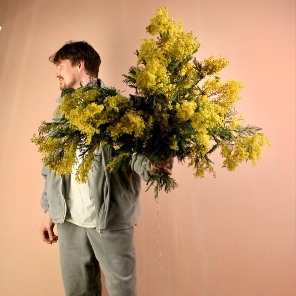 Мимоза (цена за 1 банч, на фото примерно 5 банчей)