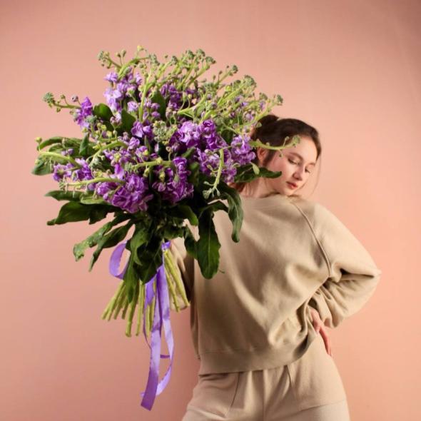 Маттиола Milka