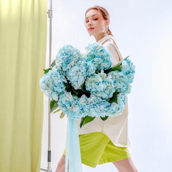 Гортензия Колумбийская