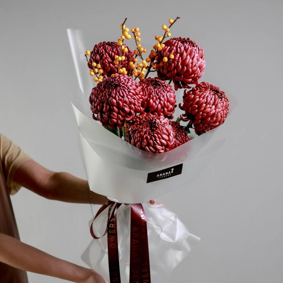 Дуобукет с хризантемой Bigoudi и илексом (в двух рзамерах)