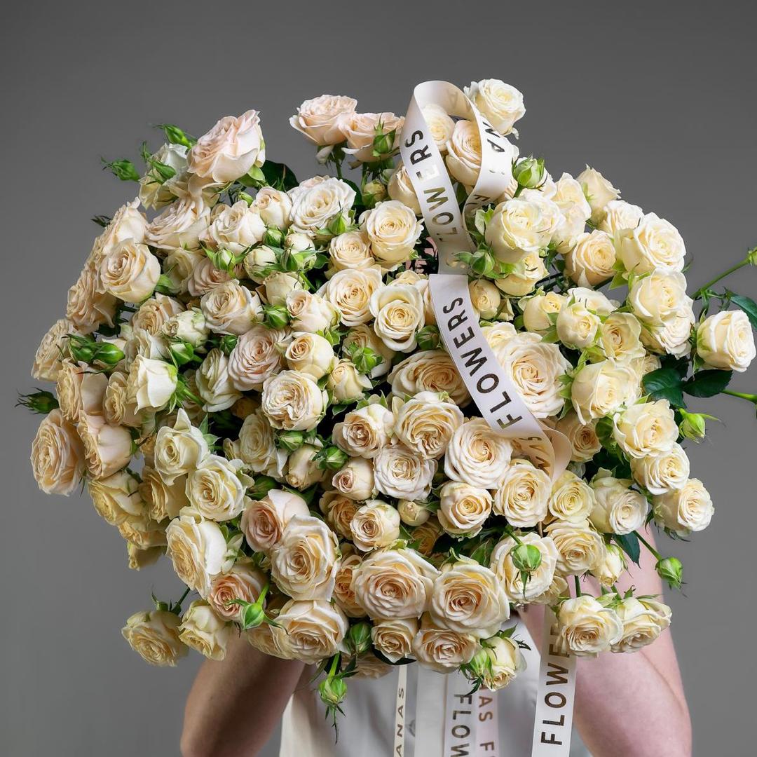 Роза кустовая пионовидная