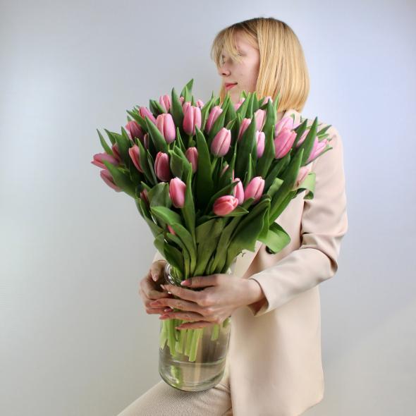 Тюльпан Голландия (розовый)