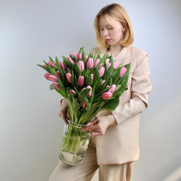 Тюльпан Голландия (розовый)