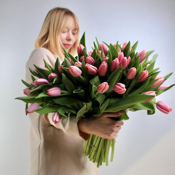 Тюльпан Голландия (розовый)