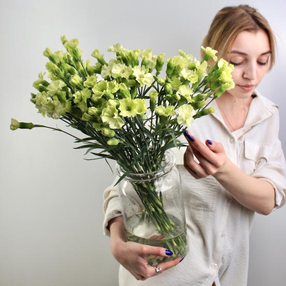 Кустовая гвоздика green