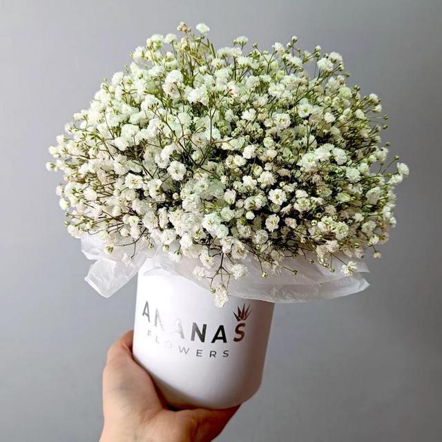 Композиция готовая №19