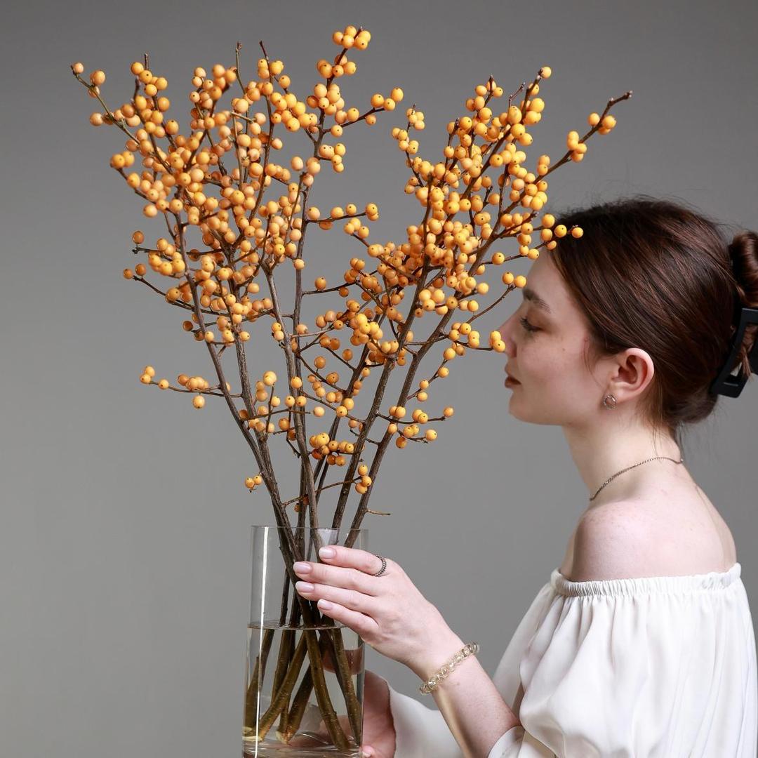 Илекс оранжевый