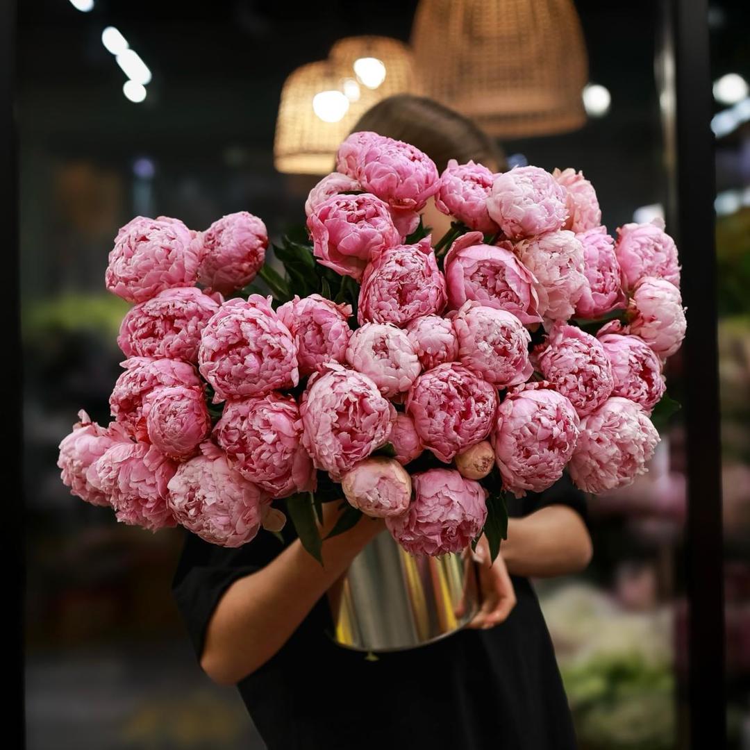 Пион розовый (цена за 1 шт)