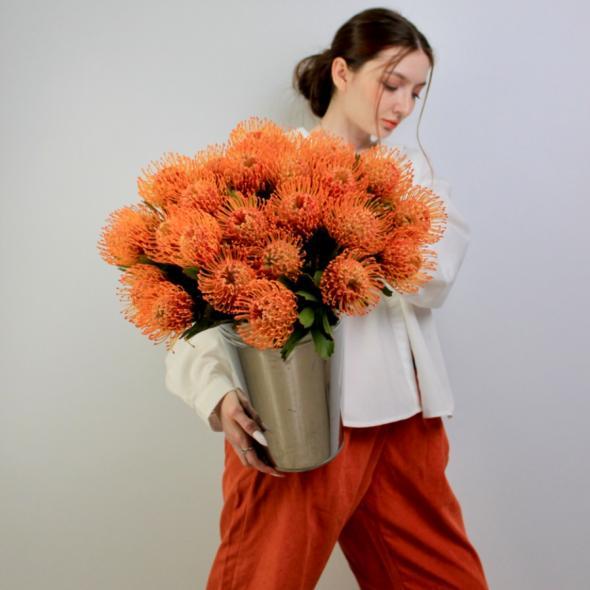 Нутан Нутан