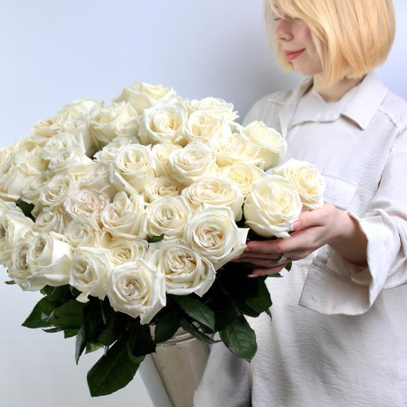 Роза Эквадор Playa Blanca 50 см Роза Эквадор Playa Blanca 50 см