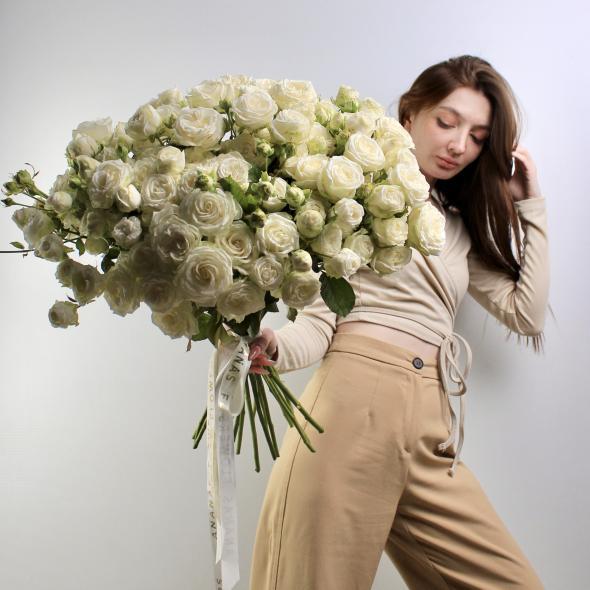 Роза кустовая пионовидная белая Роза кустовая пионовидная белая