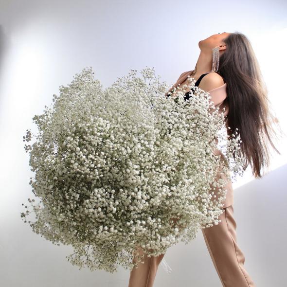 Гипсофила белая Гипсофила белая