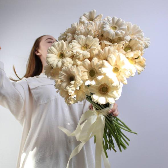 Гербера мини Гербера мини