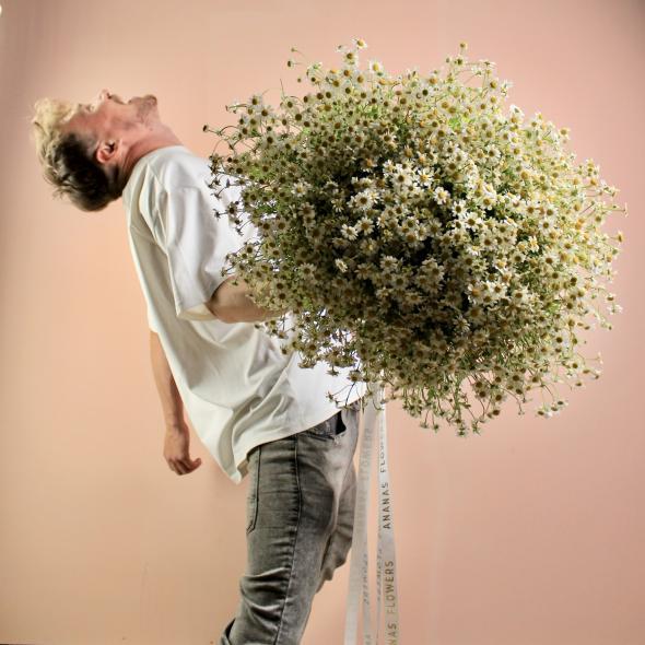 Ромашка танацетум