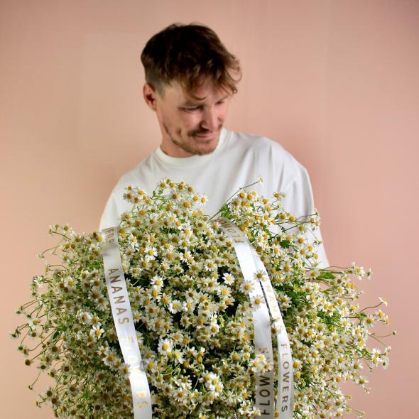 Ромашка танацетум