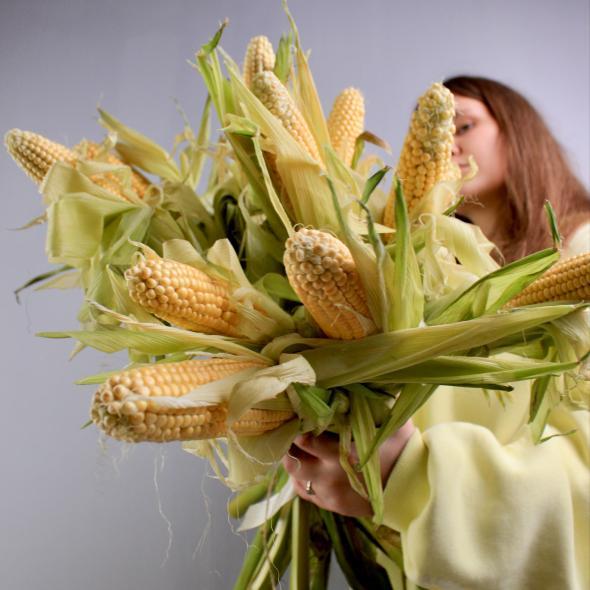 Кукуруза