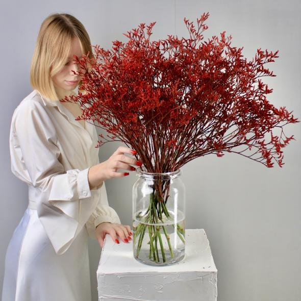 Лимониум красный Лимониум красный