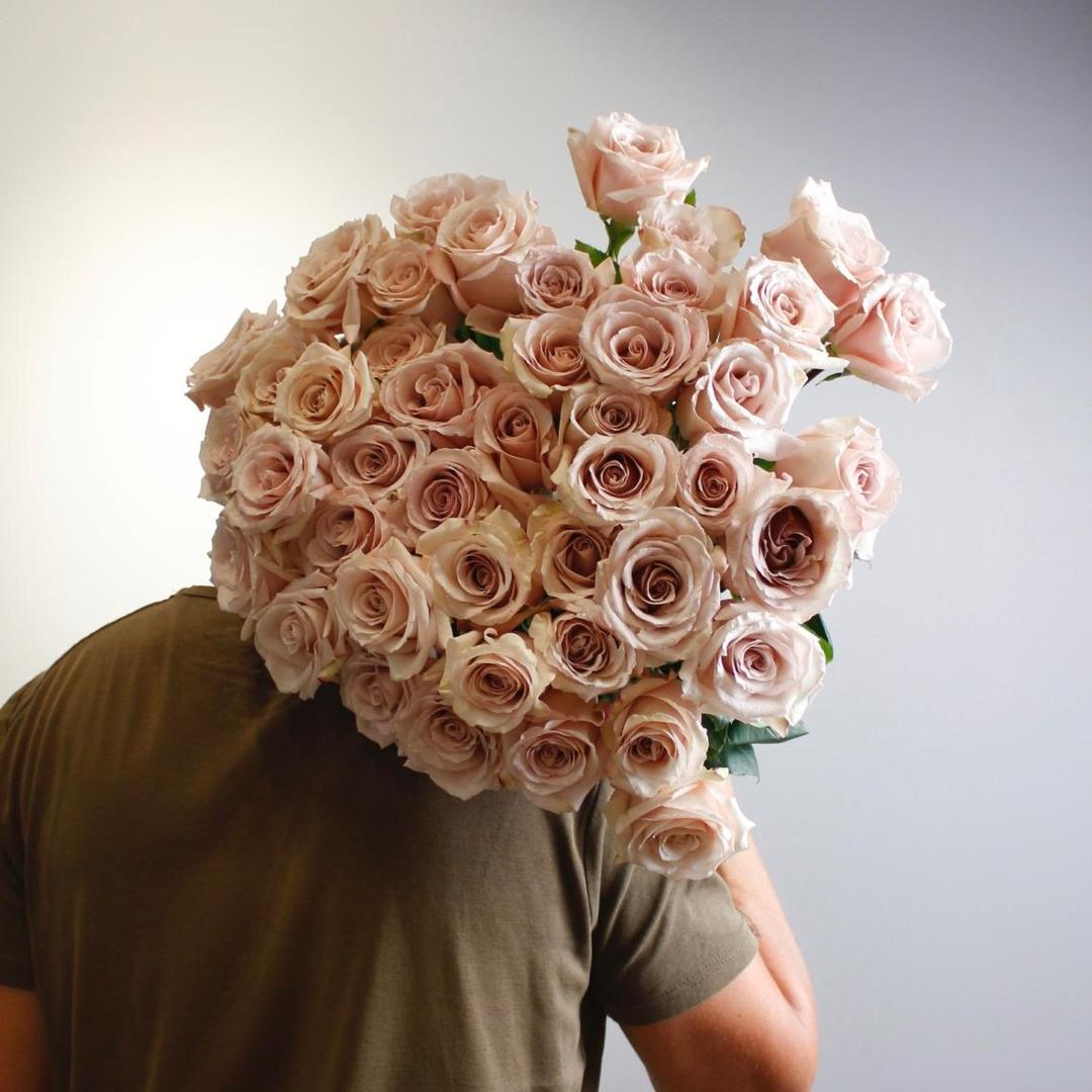 Роза сортовая Quicksand