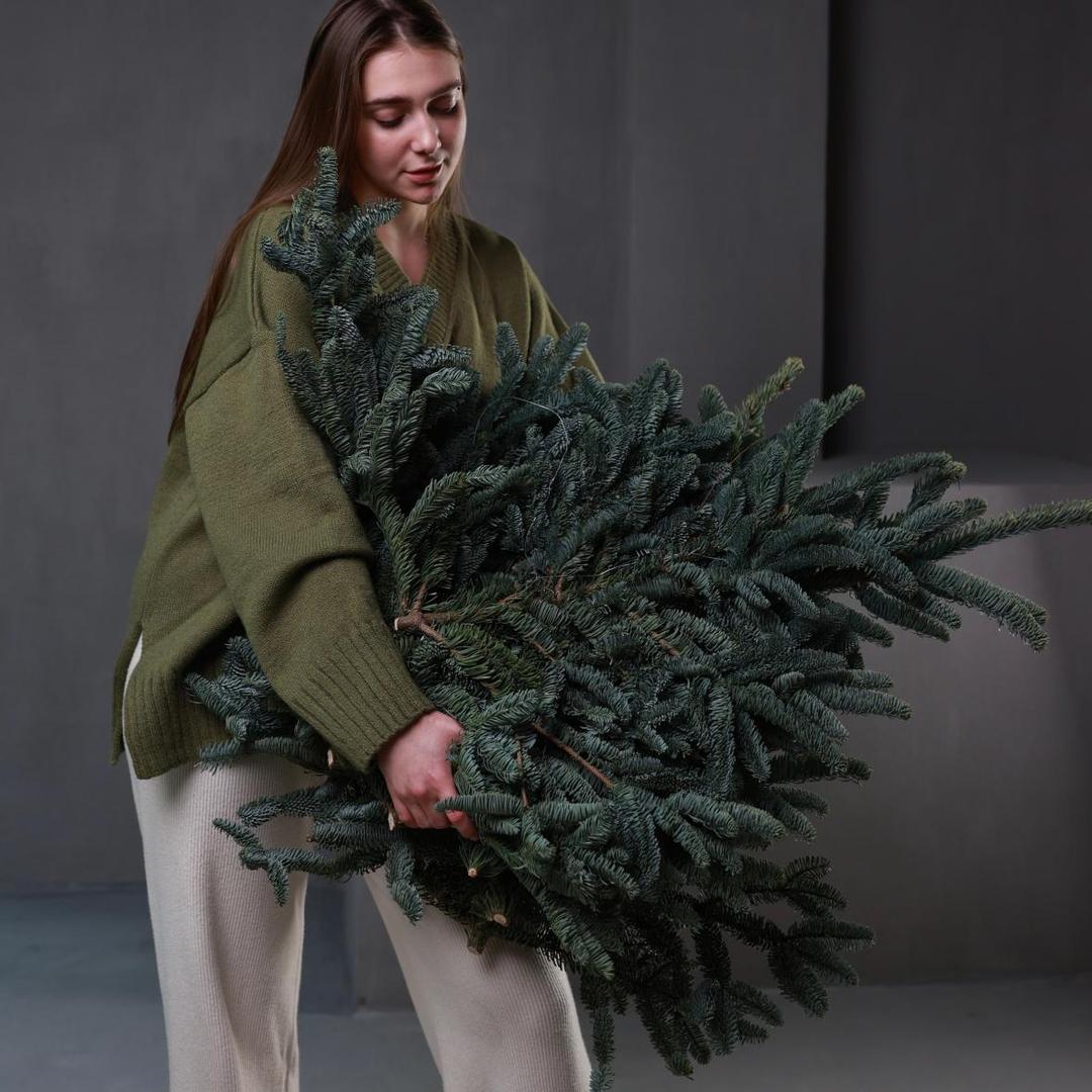 Нобилис (стоимость указана за банч)