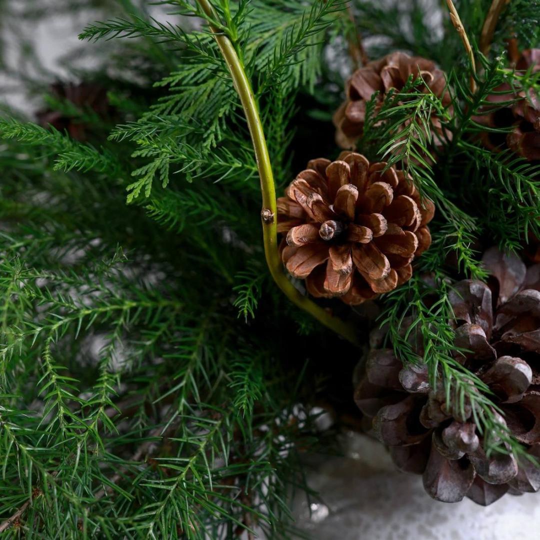 Композиция с хвоей и шишками в вазе