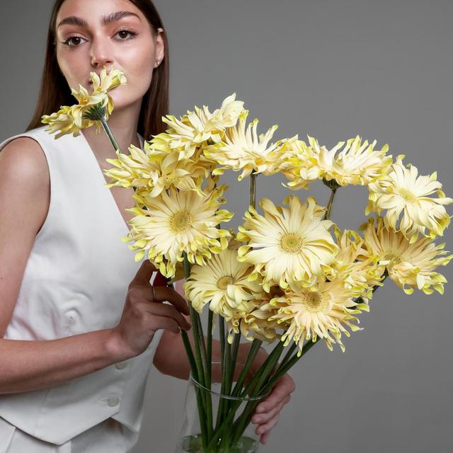 Гербера Pasta Гербера Pasta